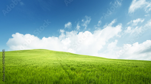 field of grass and perfect blue sky © Iakov Kalinin