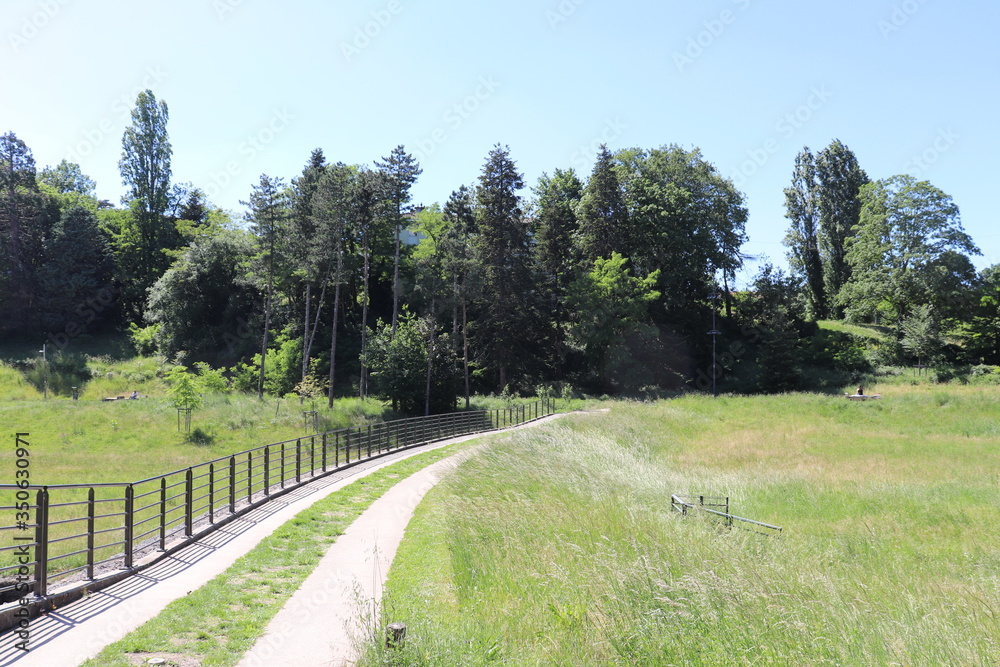 Le parc du vallon, jardin public dans le quartier de la Duchère à Lyon - Ville de Lyon - 9 ème arrondissement - Département du Rhône - France