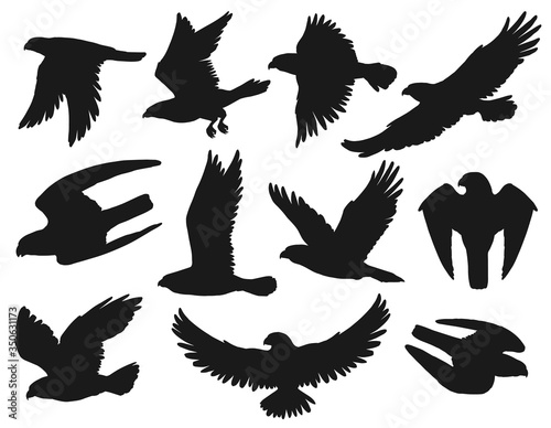 Eagles and hawks black silhouettes set, vector wild flying birds outspread wings, swoop down to catch prey, hunting. Heraldic eagles with attacking claws, american patriotic symbols, monochrome emblem