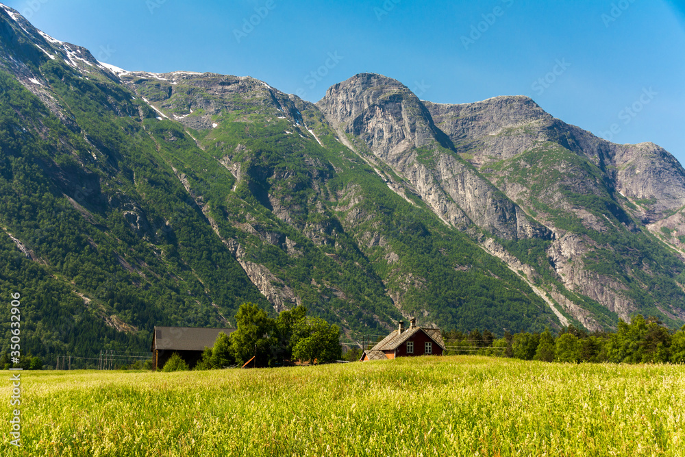 Norwegian farms in the village of Eidfjord captured during summer season
