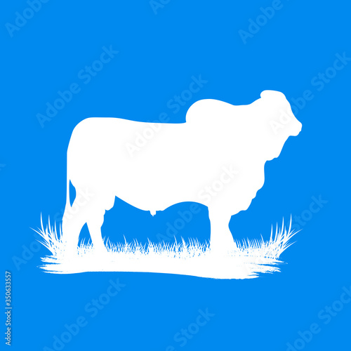 cow silhouette. Vector illustration.