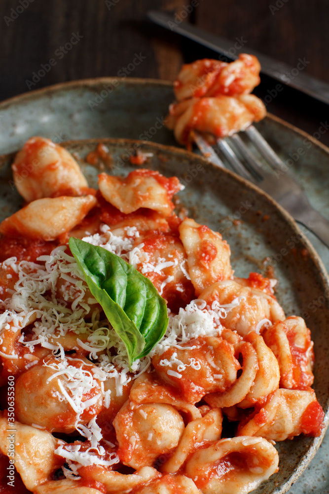 South italian pasta orecchiette with tomato sauce and cacioricotta cheese South italian pasta orecchiette with tomato sauce and cacioricotta cheese