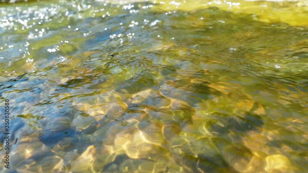 river water flowing over stones slow motion x10 river water flowing over stones slow motion x10