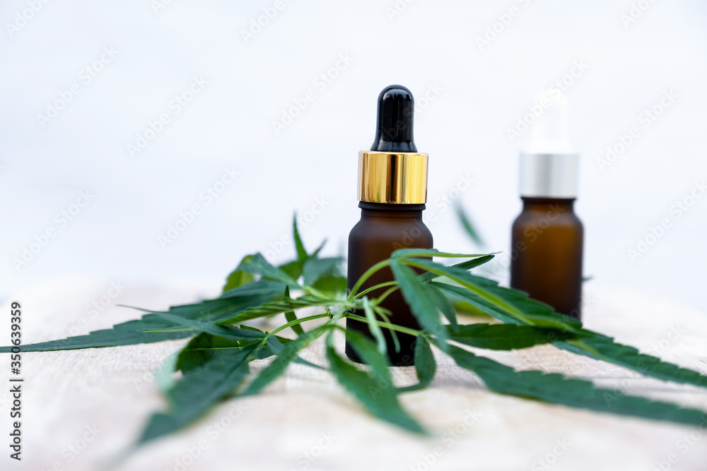 Hemp leaves and CBD oil. Alternative Medicine, Herbal Treatment concept Hemp leaves and CBD oil. Alternative Medicine, Herbal Treatment concept