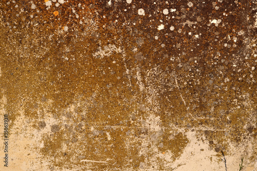 golden irregular weathered granite stone wall surface with moisture and lichen texture - dirty pattern background for a wallpaper © Domingo
