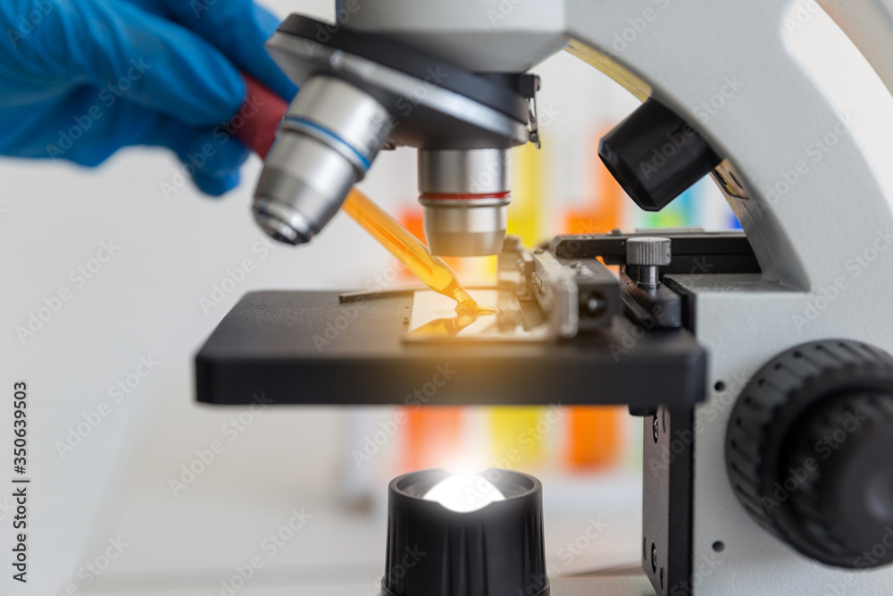 The health care researcher's hand holds a test tube with a microscope in the laboratory. The health care researcher's hand holds a test tube with a microscope in the laboratory.