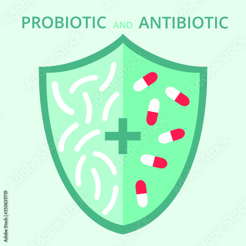 The joint use of probiotics and antibiotics to treat bacterial infections