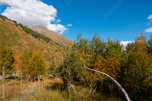 photo of mountains in Dombai Russia
