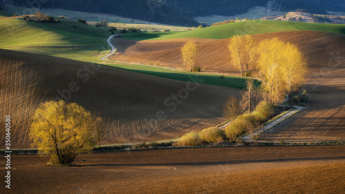 Spring landscape with trees, fields and meadows in Turiec region, Slovakia. Wavy country scenery at sunrise.