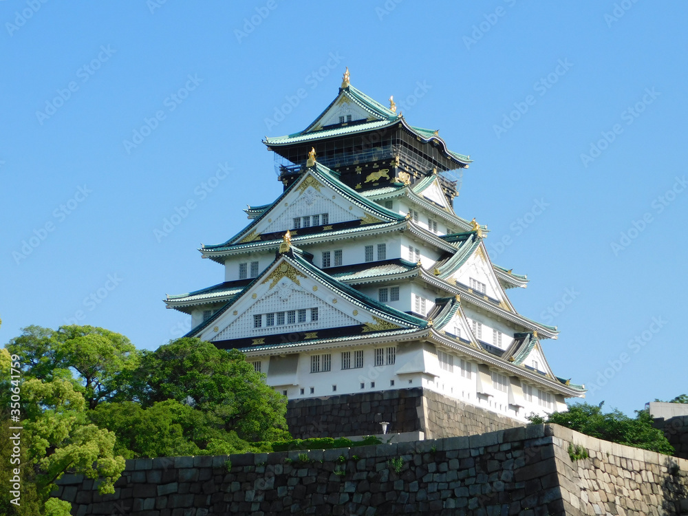 Fototapeta premium 大阪城二の丸から見た天守閣