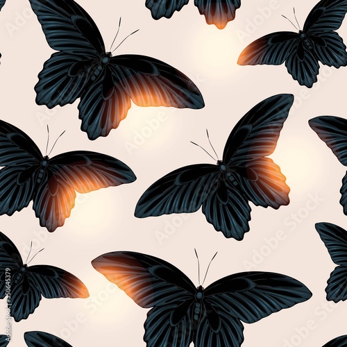 Vector pattern with high detailed black butterfly