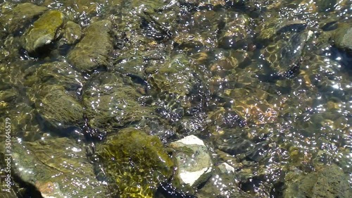 river water flowing over stones slow motion x10 photo