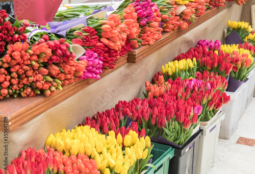 Abundance of tulips of different colors on the counter of the store. Cut flowers lie in rows. Flower shop vendor  s workplace
