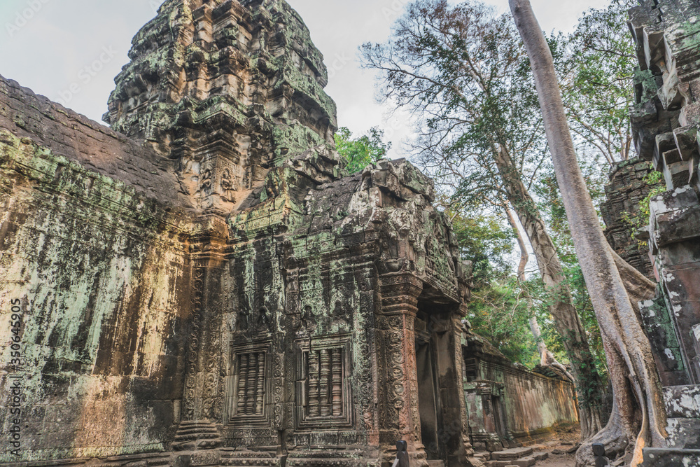 Naklejka premium Cambodia Angkor Wat Ta Prohm Temple Tomb Raider Tree Roots Ruins. Angkor Temples Ta Prohm. Siem Reap, Cambodia 
