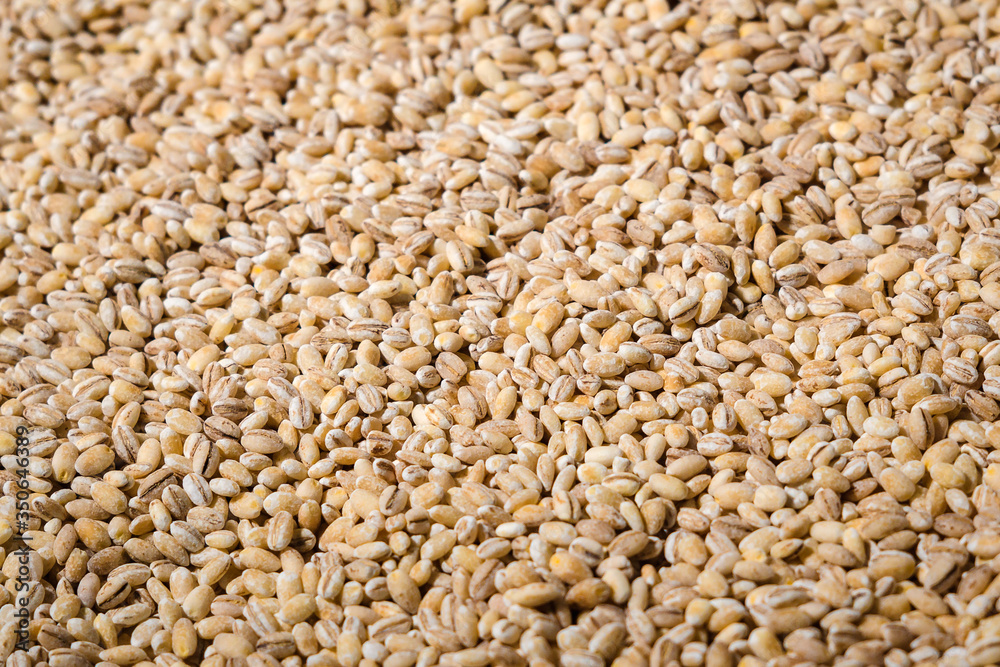 grits pearl barley background texture grits pearl barley background texture