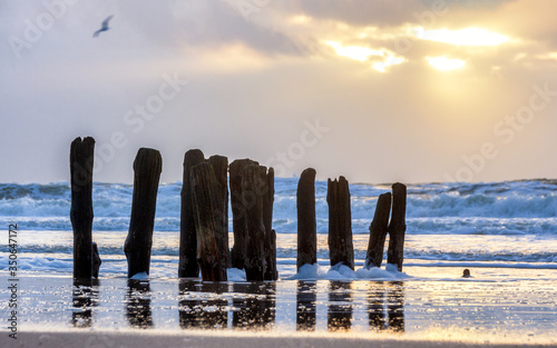 Buhnen am Strand von Rantum photo