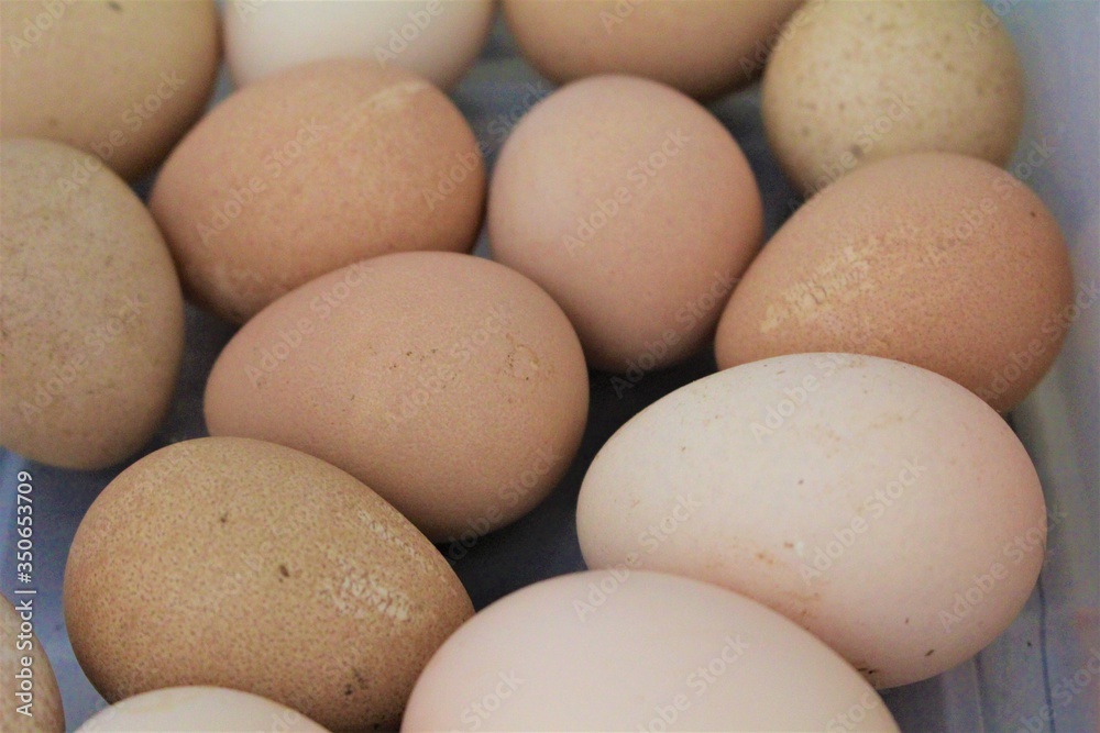 eggs in a box eggs in a box