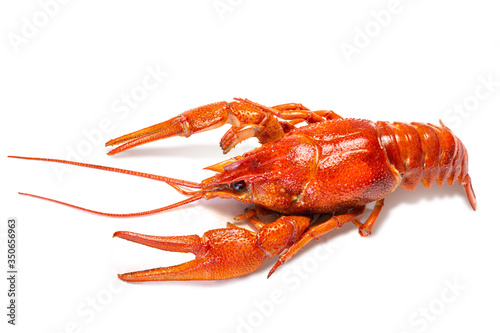 Red boiled crawfish isolated on white