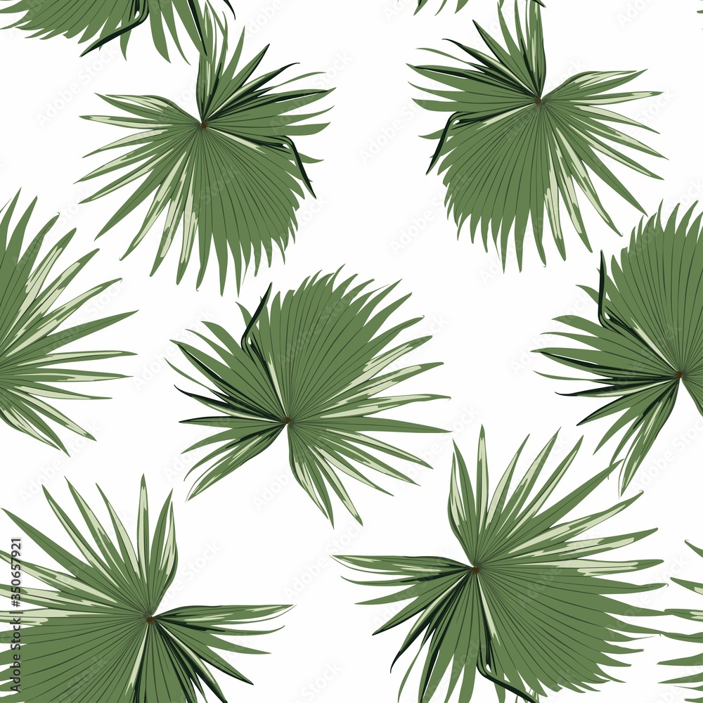 Tropical seamless pattern with exotic palm leaves. White background.