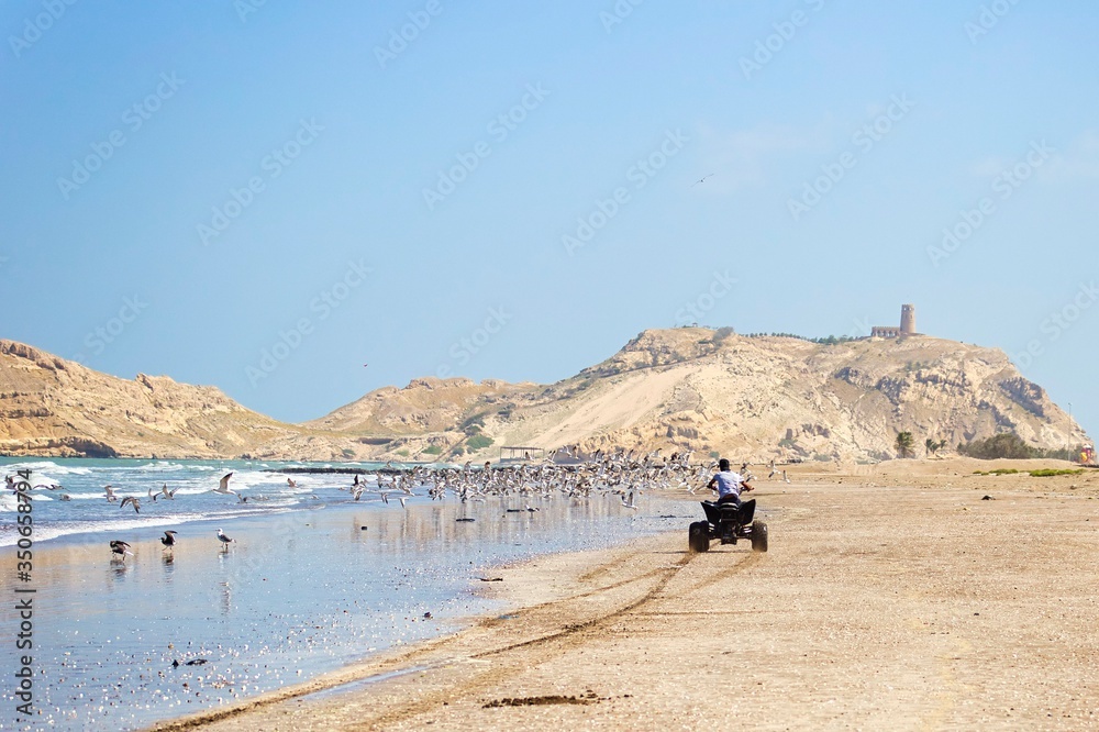 A quad bike and seagulls on the beach. A quad bike and seagulls on the beach.