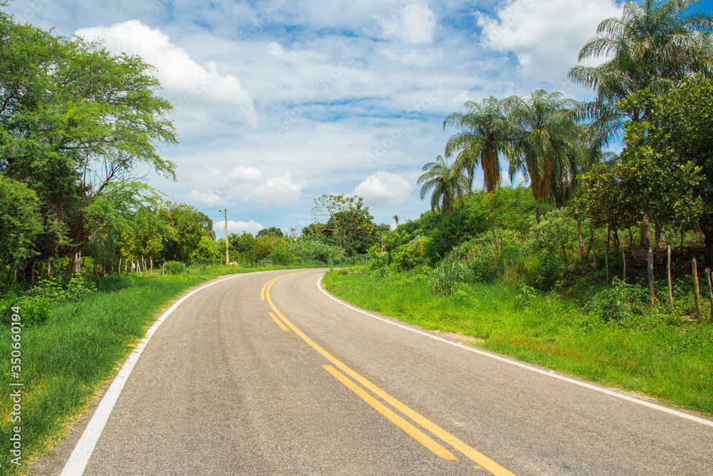 
empty lane with landscape of trees and blue sky.