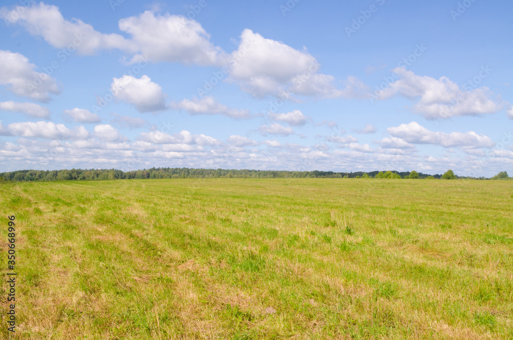 Green field and blue sky during the day Green field and blue sky during the day