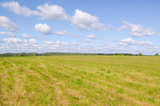 Green field and blue sky during the day