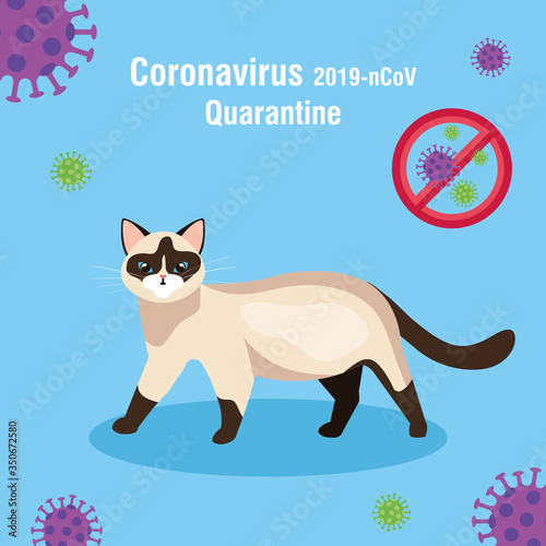quarantine 2019 ncov campaign with cat vector illustration design