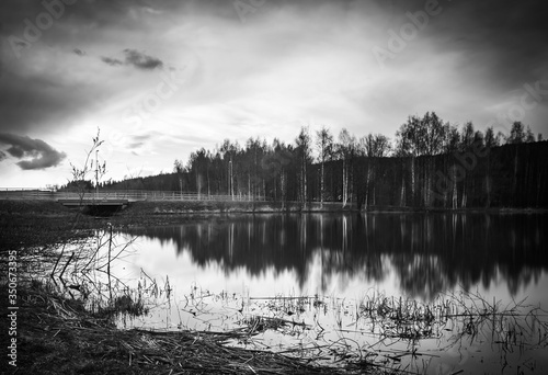 reflection of trees in the water photo