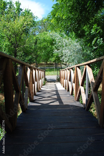 bridge to the forest