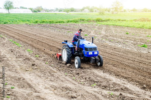 A farmer on a tractor cultivates a farm field. Soil milling, crumbling and mixing. Agroindustry, farming. Preparatory work for a new planting. Loosening surface, cultivating land for further planting