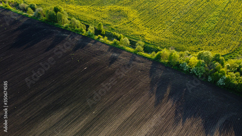 Black agricultural field and green trees aerial landscape view from drone, beautiful natural texture background from above