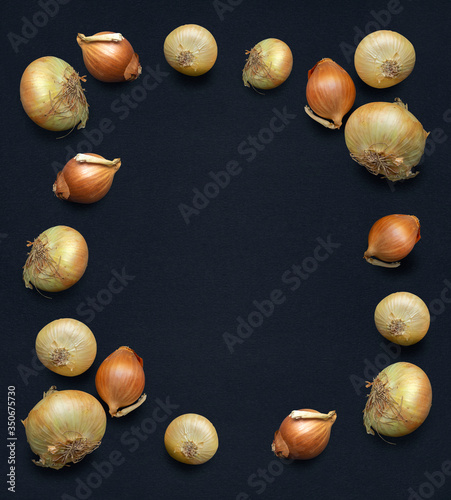 A square frame of several onions on a background of natural black textured pastel paper, top view. Space for text, banner, background, cover.