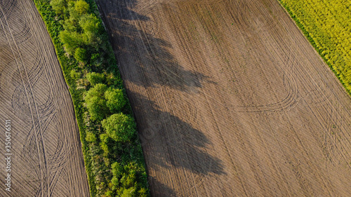 Black agricultural field and green trees aerial landscape view from drone, beautiful natural texture background from above
