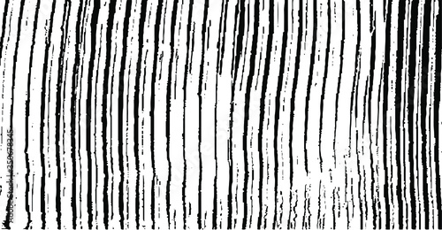 Slim lines texture. Parallel and intersecting lines abstract pattern. Abstract textured effect. Black isolated on white background.Vector illustration. EPS10.
