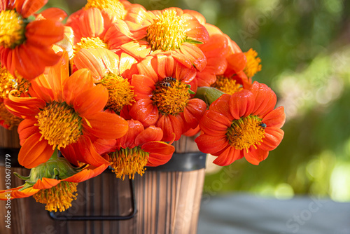 orange flowers arranged in rustic containers with natural light