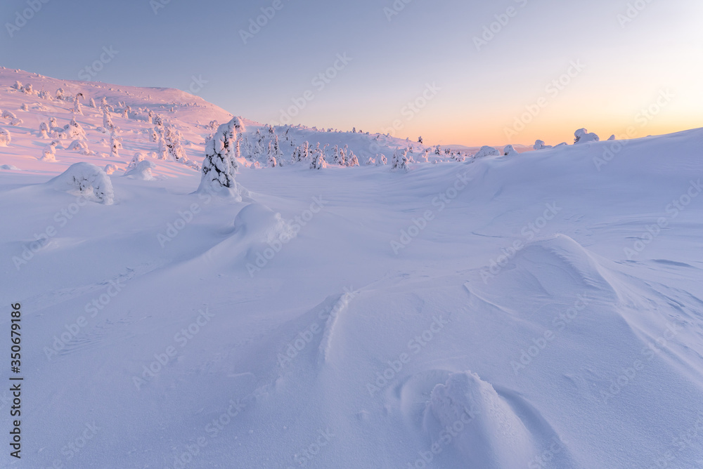 Polar landscape. Majestic, snow-covered trees in the Arctic on the slopes of the mountain. Volosnaya Sopka in the Arctic. Sculptures of nature in the northern landscape