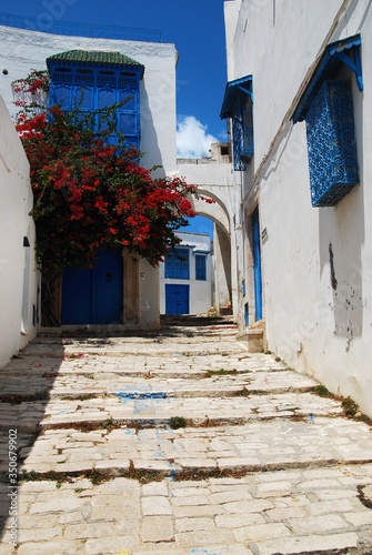 Stone-paved staircase and white-blue houses among flowering plants in Sidi Bou Said, Tunisia