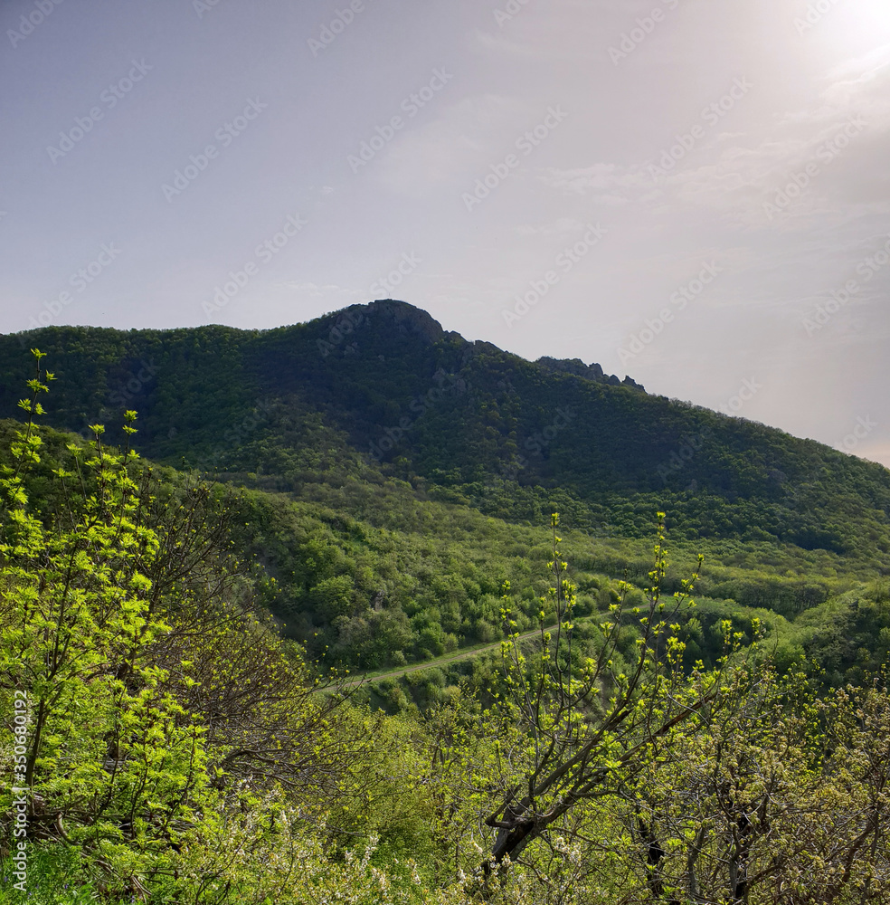 Low mountain in the morning