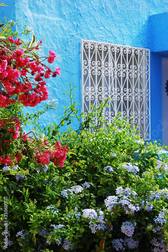 White forged patterned lattice on the window of a blue house and flowering plants