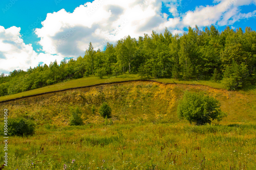 Naklejka premium summer landscape with a road