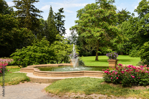 landscape Park with a fountain beautiful green trees and blooming flower beds with roses