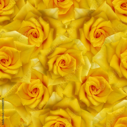 Seamless pattern with yellow roses. 