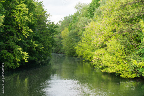Fluss in der Natur, grüner Spreewald, Pollenflug, wundervoll natürlich
