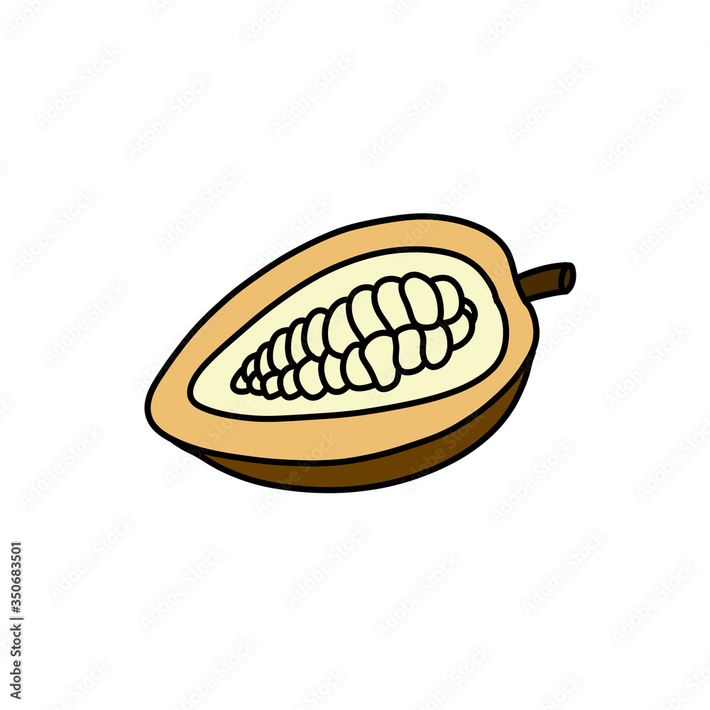 cacao fruit doodle icon, vector illustration cacao fruit doodle icon, vector illustration