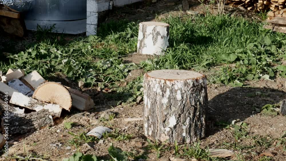 Chopping wood. Worker chopping wood outdoors. 4k video Chopping wood. Worker chopping wood outdoors. 4k video