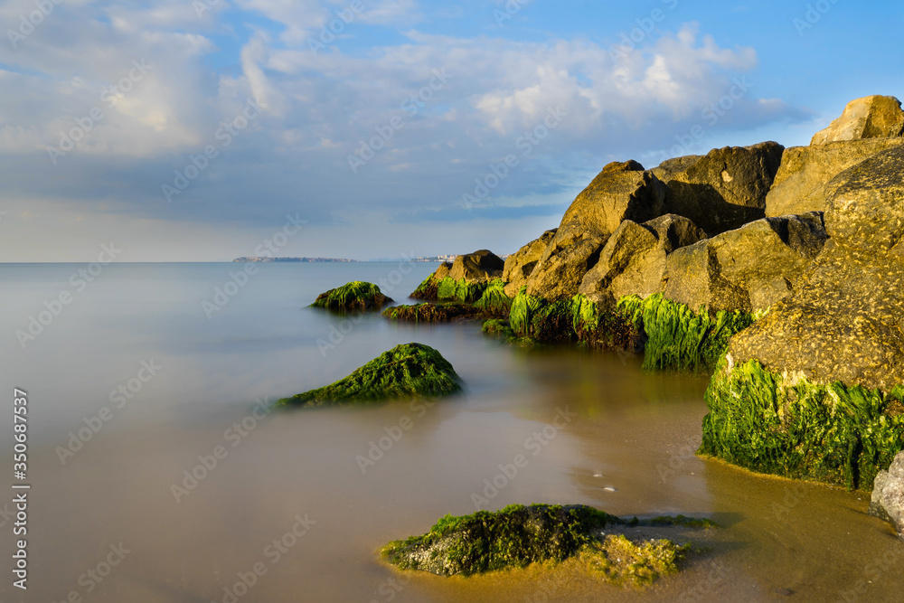 Seaweed on the stones. Calm morning sea. Long exposure shooting.