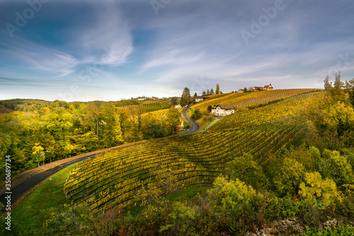 wein,weinbau,lese,bad ratkersburg,burgenland ,österreich,traube,steiermark,ausflug ,erholung,alkohol
