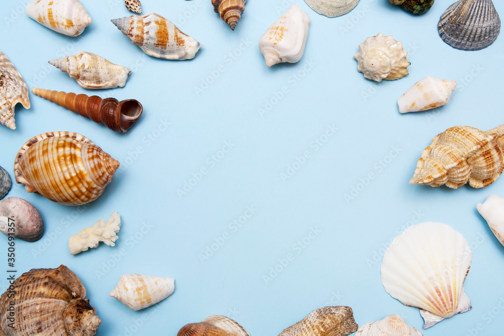 Top view on seashells on a blue background with copy space. Summer, sea, vacation background