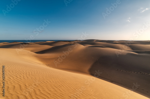 vista de las  dunas de maspalomas  Gran Canaria  con la playa al fondo al atardecer